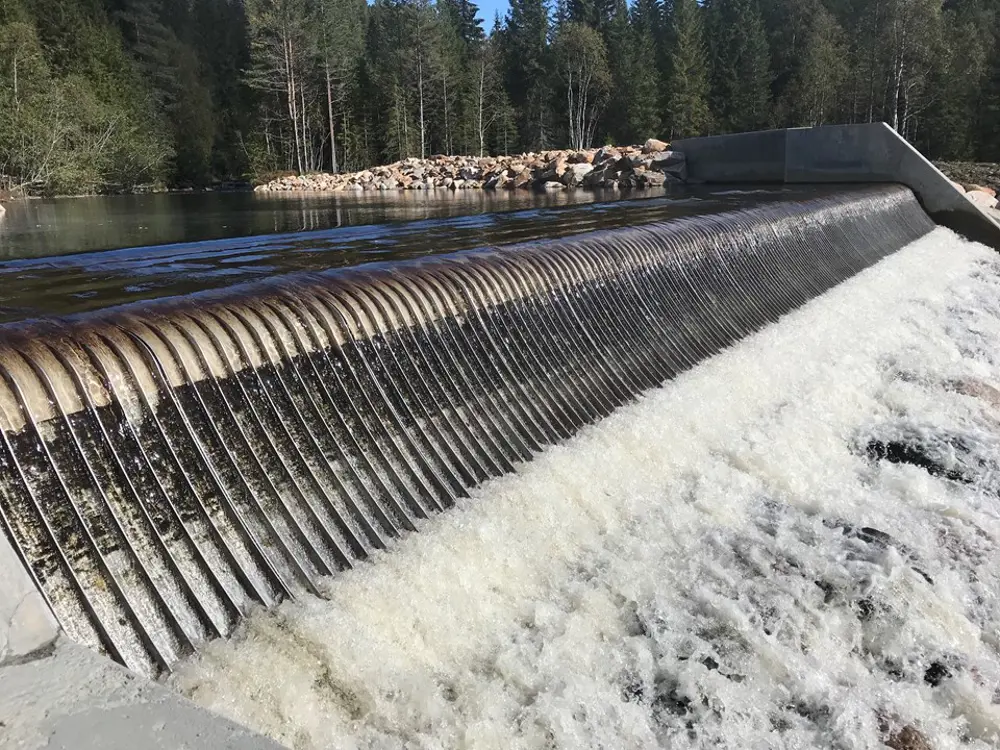 Fornøyd med populære coanda_coandanve.jpg